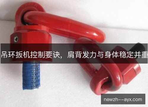吊环扳机控制要诀,肩背发力与身体稳定并重 吊环扳机控制要诀,肩背发力与身体稳定并重